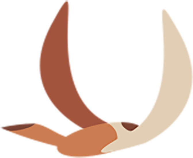 Another bird